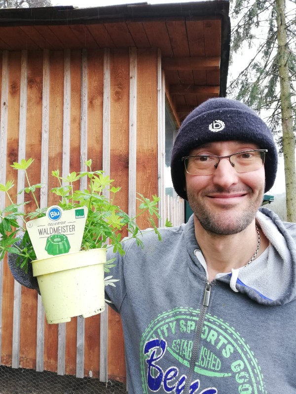 Waldmeister-Aufforstung am neuen Grund - Likör-Genusswerkstatt